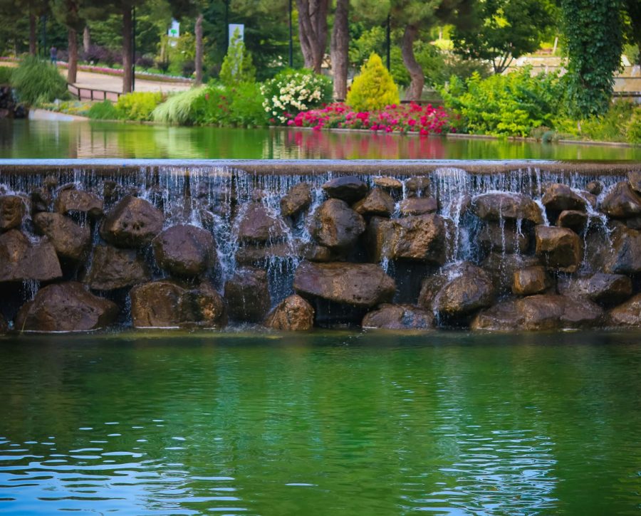pexels-photo-1254275-1254275 A serene waterfall over rocks in Şehitkamil Park, Gaziantep, surrounded by lush greenery and flowers.